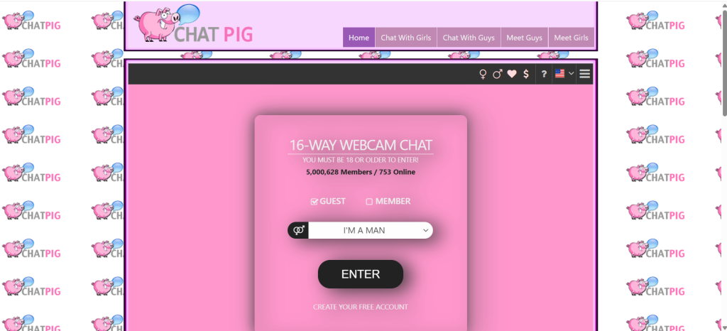 Chatpig homepage screenshot showing random video chat platform with global strangers, anonymous chat, chat with girls live, free cam chat, random video conversations.