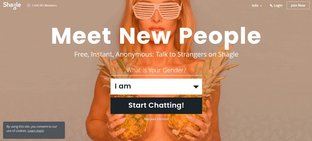 Shagle homepage interface with start chat button and simple design
