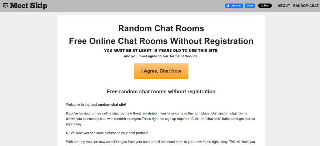 Meet Skip homepage screenshot of online cam platform for random video chat, cam to cam, and live face-to-face interactions