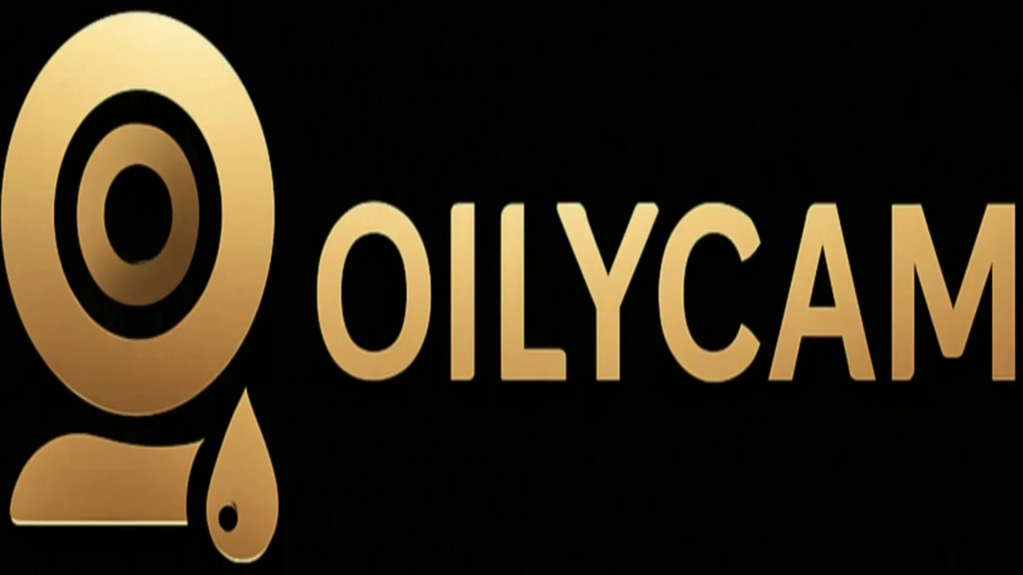 Explore OilyCam for random video chat with strangers online, 1-on-1 chats, anonymous cam sites, Omegle alternatives, and platform reviews.
