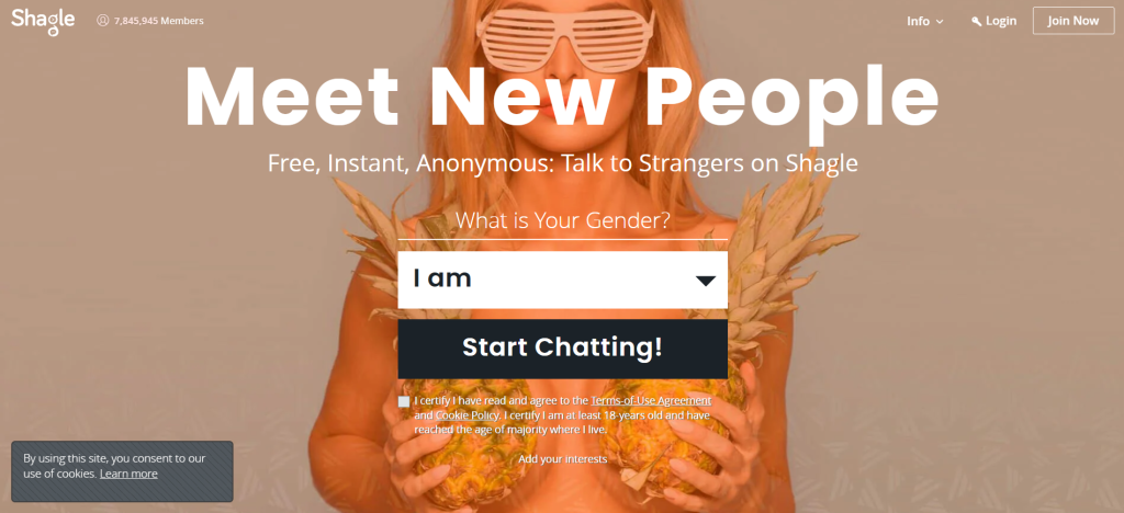 shagle alternative image showing random video chat platform with anonymous pairing system and live face to face interactions with strangers online